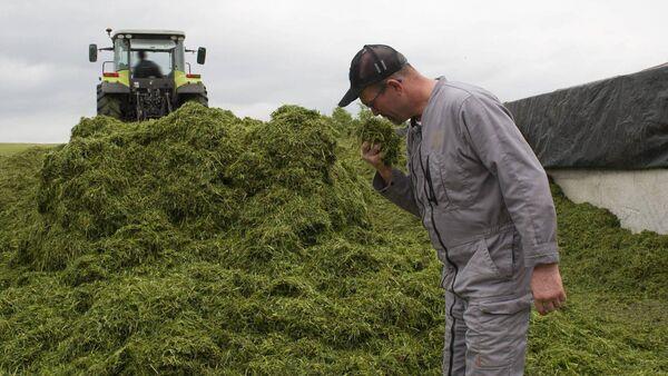 What can we learn from 1,100 Irish silage samples