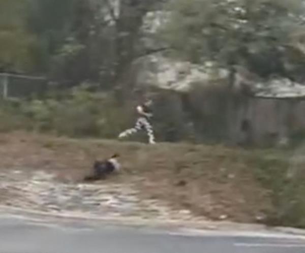 Cell phone video appears to show murder suspect Kaitlin Armstrong's attempt to escape
