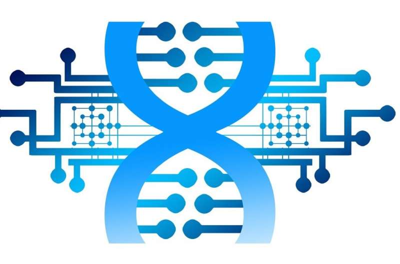 DNA protein